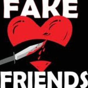 Fake_Friends