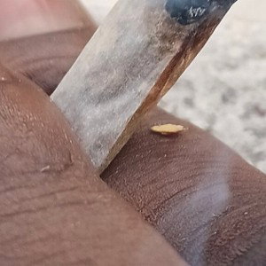 un autre pour 5 ans