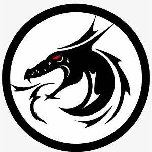 Dragon (feat. kaneraps)
