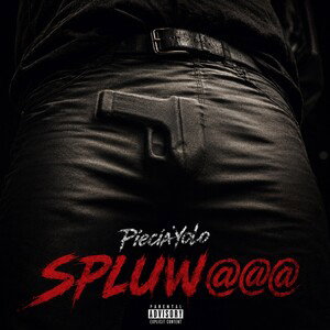 PieciaYolo - SPLUW@@@