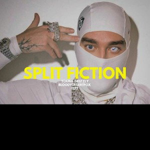 Split Fiction