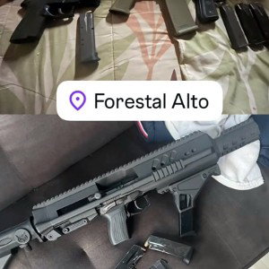 alérgico a la pala