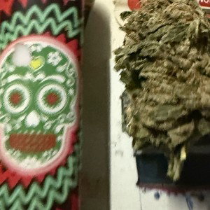 EarlyBirdy