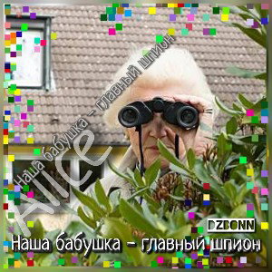 Наша бабушка- главный шпион