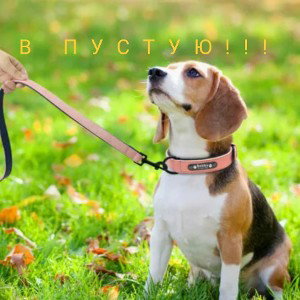 в пустую 