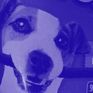 dog in heat g funk stats (Slowed + Reverb)