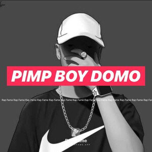 pimp boy Domo