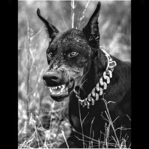 Gang-Beat