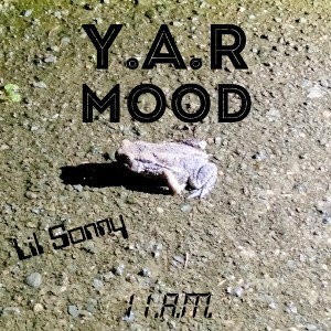 Y.A.R Mood