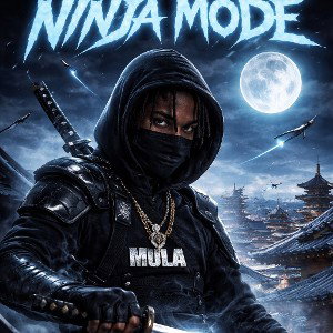 Ninja mode.