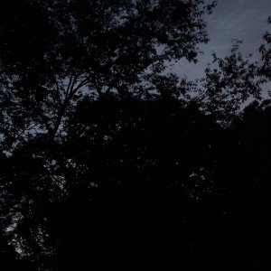 3AM freestyle 
