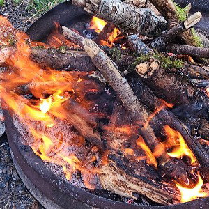 threw the fire freestyle looking for content 