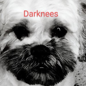 Darknees įžāāçxıōņpōřţıōņ