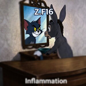 Inflammation