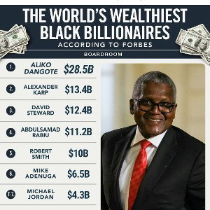 See & Fear the Billionaire 