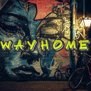 Way Home 