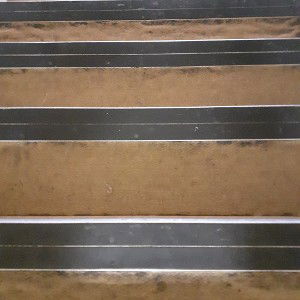 STEP IN THE CLUB