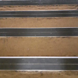 STEP IN THE CLUB
