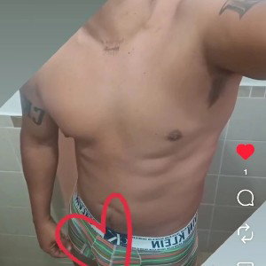 acapela 