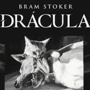 Yrn Draco - The Vampire Bloodlines 