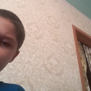 волки