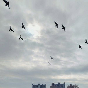 the future my new song My future