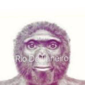 Singe
