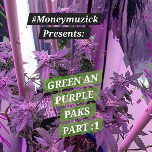 GREEN AN PURPLE PAKS PART :1