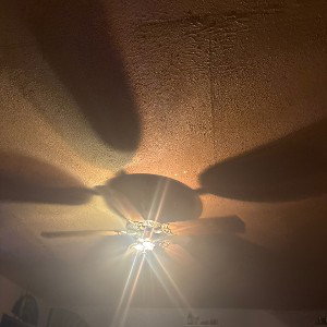 Best Friend