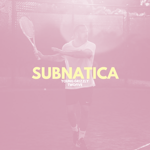 Subnatica (19:41:25) (Bass Boost)