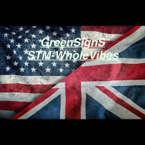 STM-WholeVibeS Official