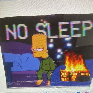 No Sleep in the Fire FREESTYLE