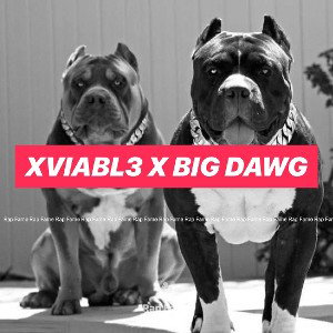 xViabl3 x Big Dawg