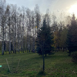 Жизнь