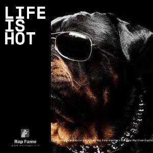 life is hot