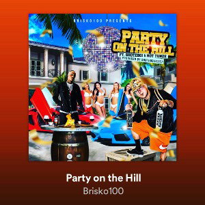 PARTY ON THE HILLS