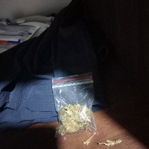 fuck shit
