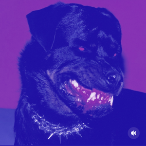 Escucho Mi Mente Gritar  (Slowed + Reverb)