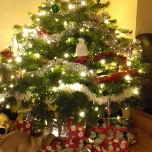 bo Christmas im eeady