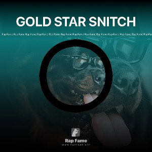 GOLD STAR SNITCH