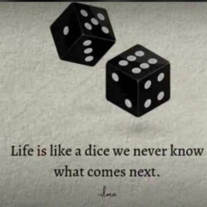 dice life