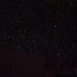 In The Dark