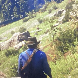 Arthur’s crush/Booties from Saint Denis 