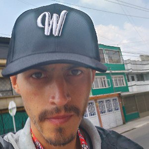 tema rolo