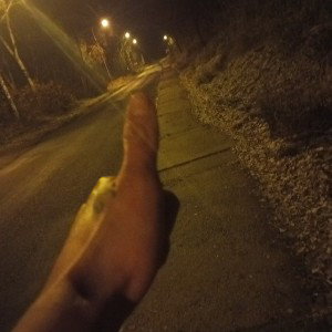daily beat 