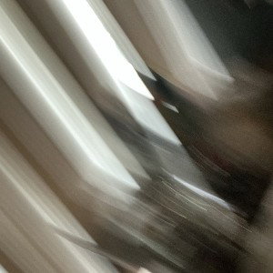 Treygotuds12