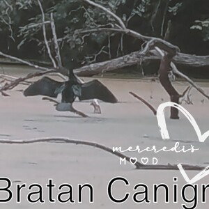 Bratan Canigrrr 