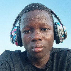 Bamako fried