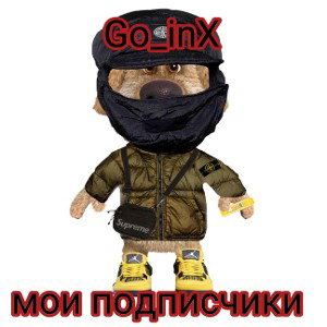 Go_inX-мои подписчики