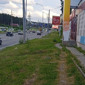 Богатый крот